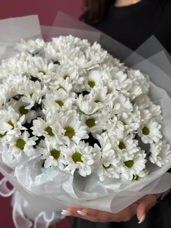 Букет хризантем Чик - ромашек