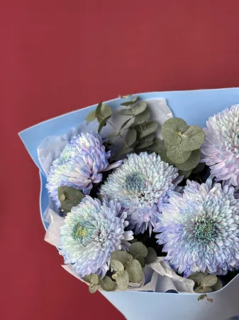 Букет цветных хризантем Магнум