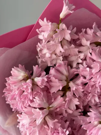 Букетик розовых гиацинтов