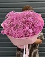 Цветы Букет из розовой гипсофилы 0